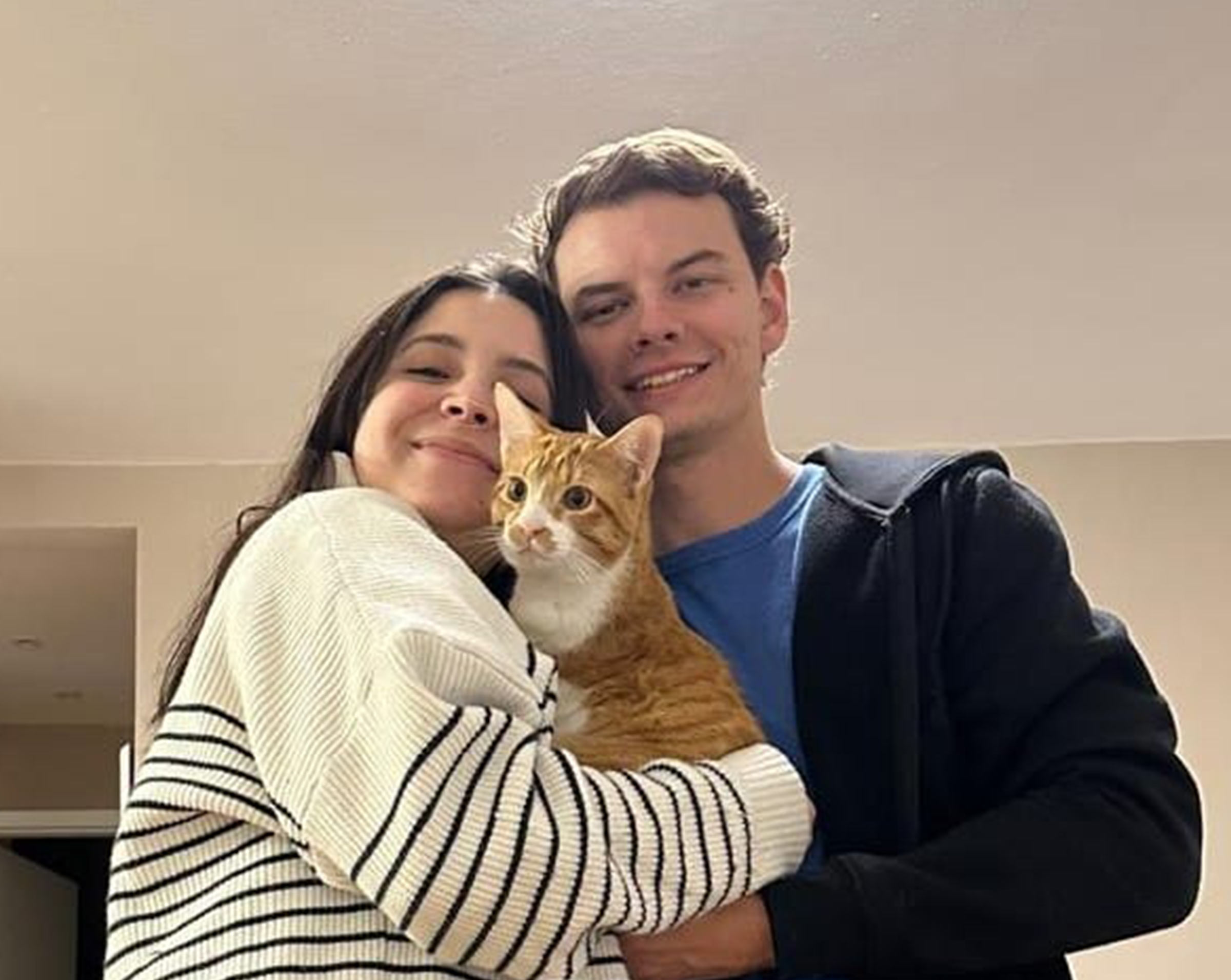 Manuel, gato atendido pela OSTEONVET